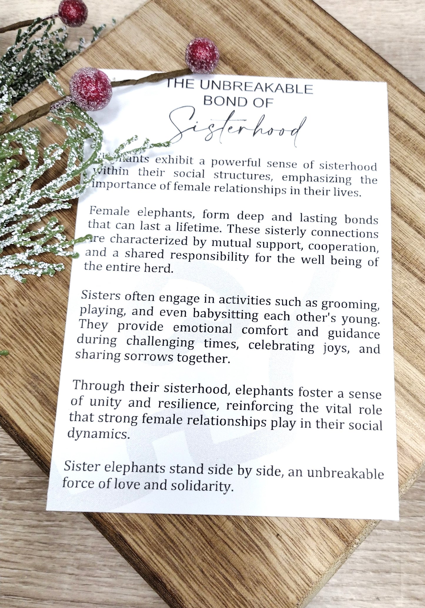 Bond of Sisterhood Friendship Ornament